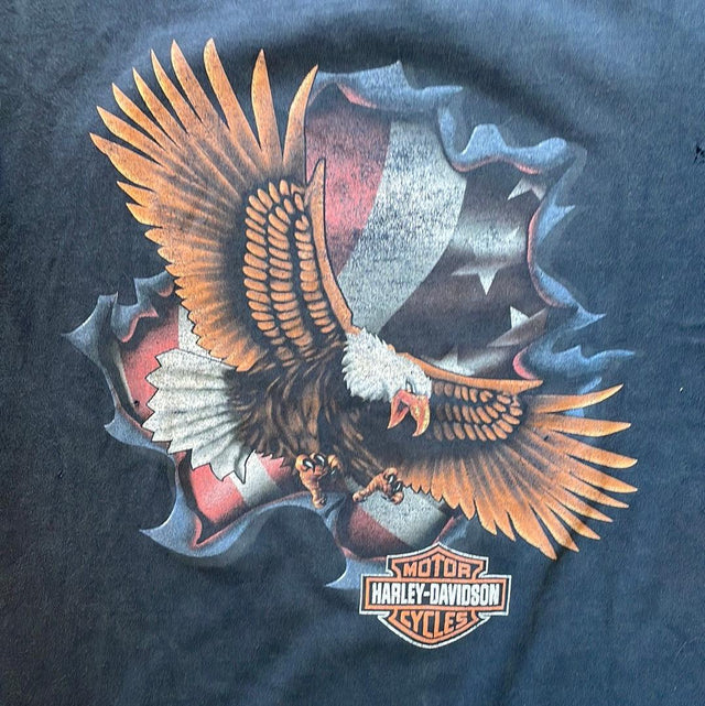 Y2K Harley Davidson Burlington, WA Shirt L