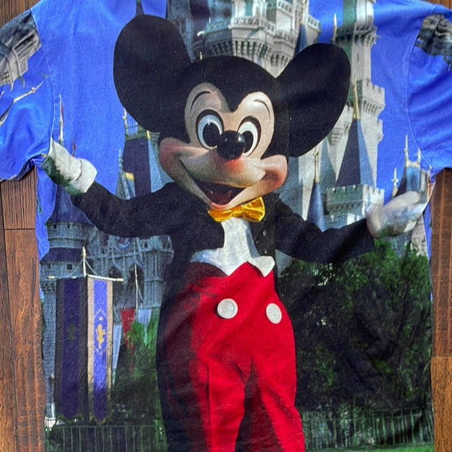 Walt Disney World 50th Anniversary Vault Collection Mickey Mouse And Castle L