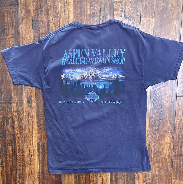 Vintage Y2K Harley Davidson Aspen Valley, CO Shirt XL