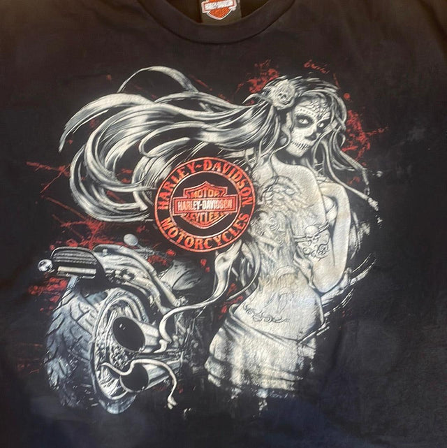 Zion Harley Davidson Washington, Utah 2XL