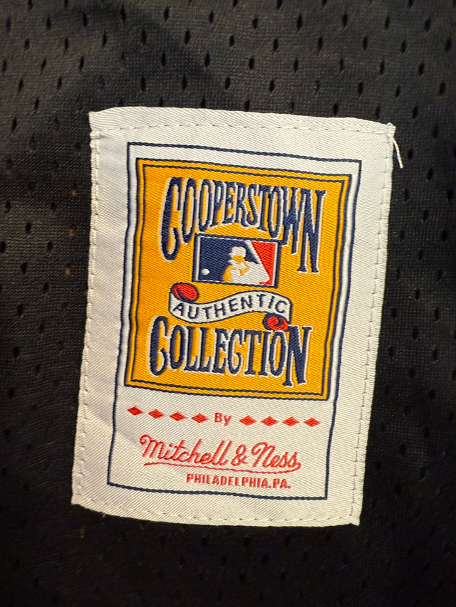 Vintage Arizona Diamondbacks Randy Johnson Jersey - Mitchell & Ness Black Mesh (M)