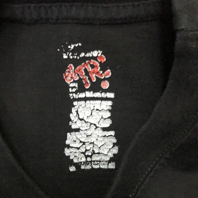 El Tri La Virgen Morena Large