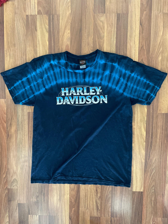 2009 Harley Davidson Plainfield, IN XL