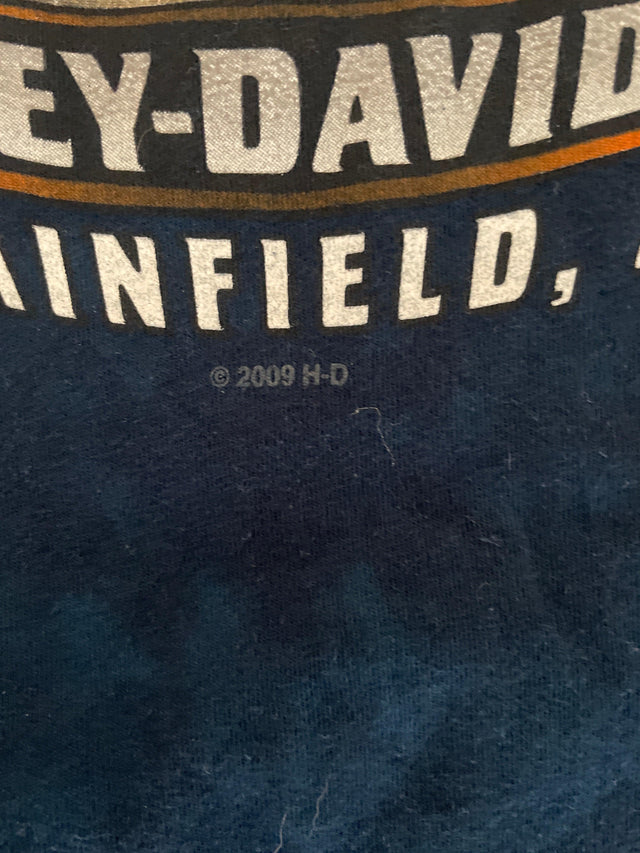 2009 Harley Davidson Plainfield, IN XL