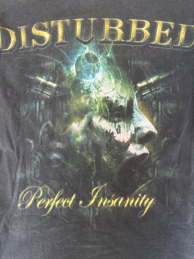 Disturbed “Perfect Insanity” Vintage Band Tee (2008) – Hanes Heavyweight