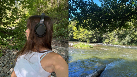 Take an Album Walk By Clare Snyder
