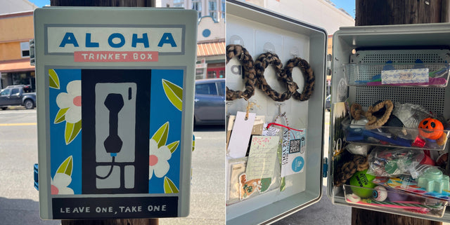 Discovering the Trinket Boxes of Hawaii By Mikayla Maeshiro