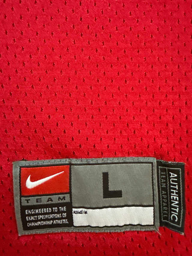 Vintage 2000s Ohio State Buckeyes #28 Nike Team Football Jersey Size Large