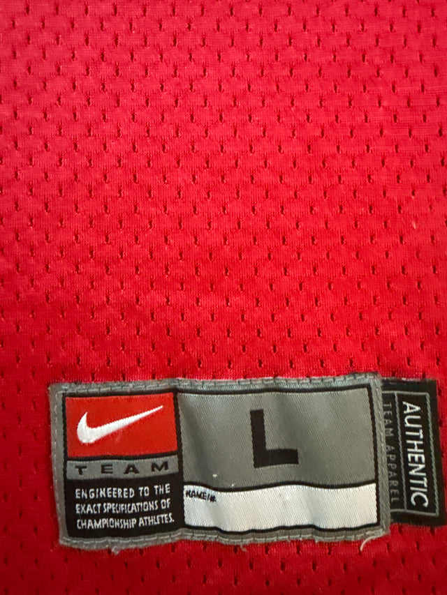 Vintage Y2K Ohio State Buckeyes #10 Nike Team Football Jersey Size Large Made in Korea