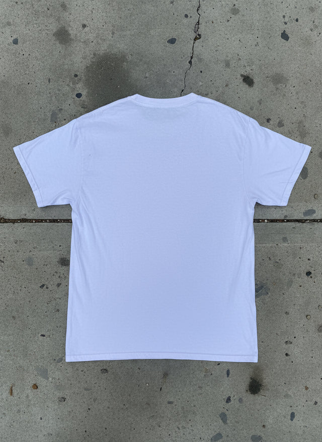 Lewd Complex Pink Anime Demon Girl Tee – Large