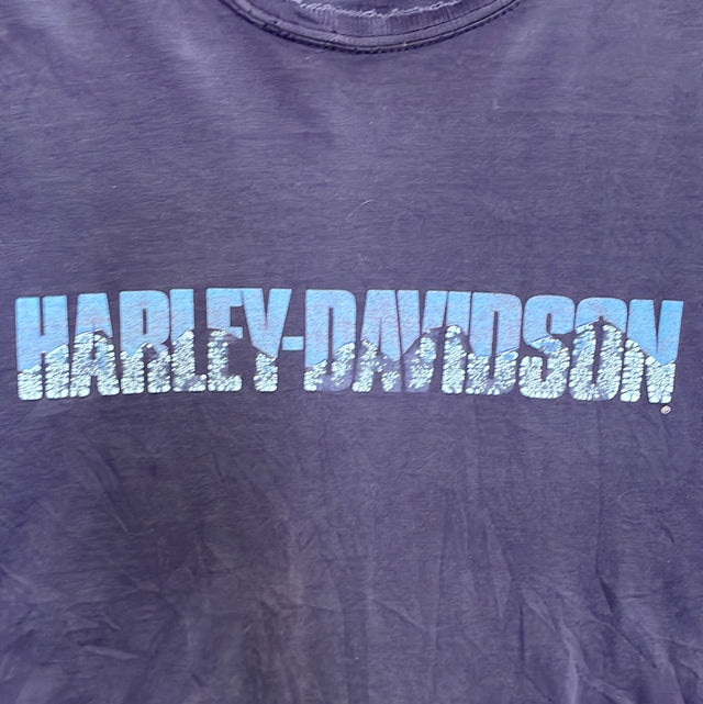Vintage Y2K Harley Davidson Aspen Valley, CO Shirt XL