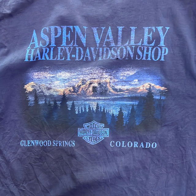 Vintage Y2K Harley Davidson Aspen Valley, CO Shirt XL