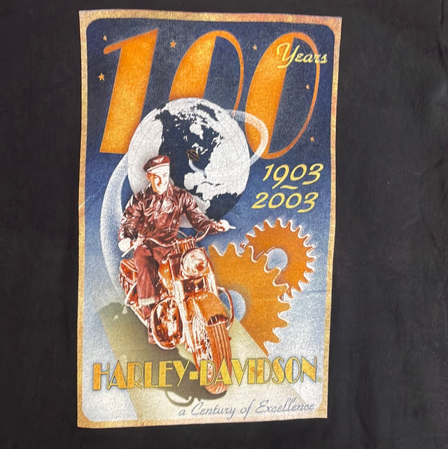 Vintage El Paso TX Harley Davidson Shirt Small